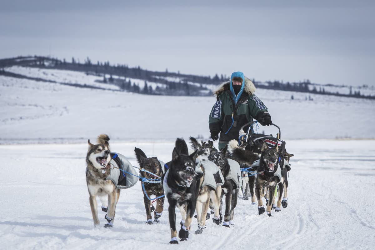 Kinco, 5199, Knit Wool Gloves for Men - Alyeska Ragg Wool Gloves (Black) - Image 5